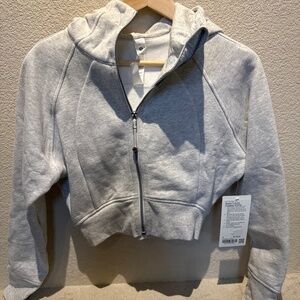 Scuba full zip cropped hoodie